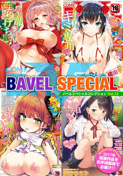 COMIC BAVEL SPECIAL COLLECTION（コミックバベル スペシャルコレクション） VOL12-美矢火|単行本